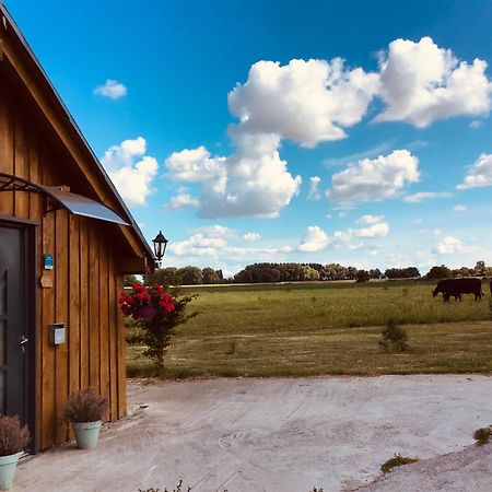 Le Chalet De La Ferme Du Tertre Villers-au-Tertre Rum bild