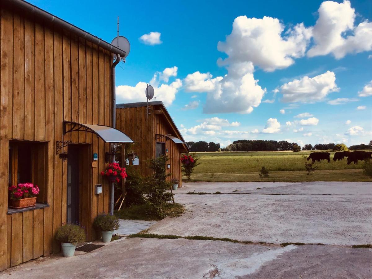 Le Chalet De La Ferme Du Tertre Villers-au-Tertre Rum bild