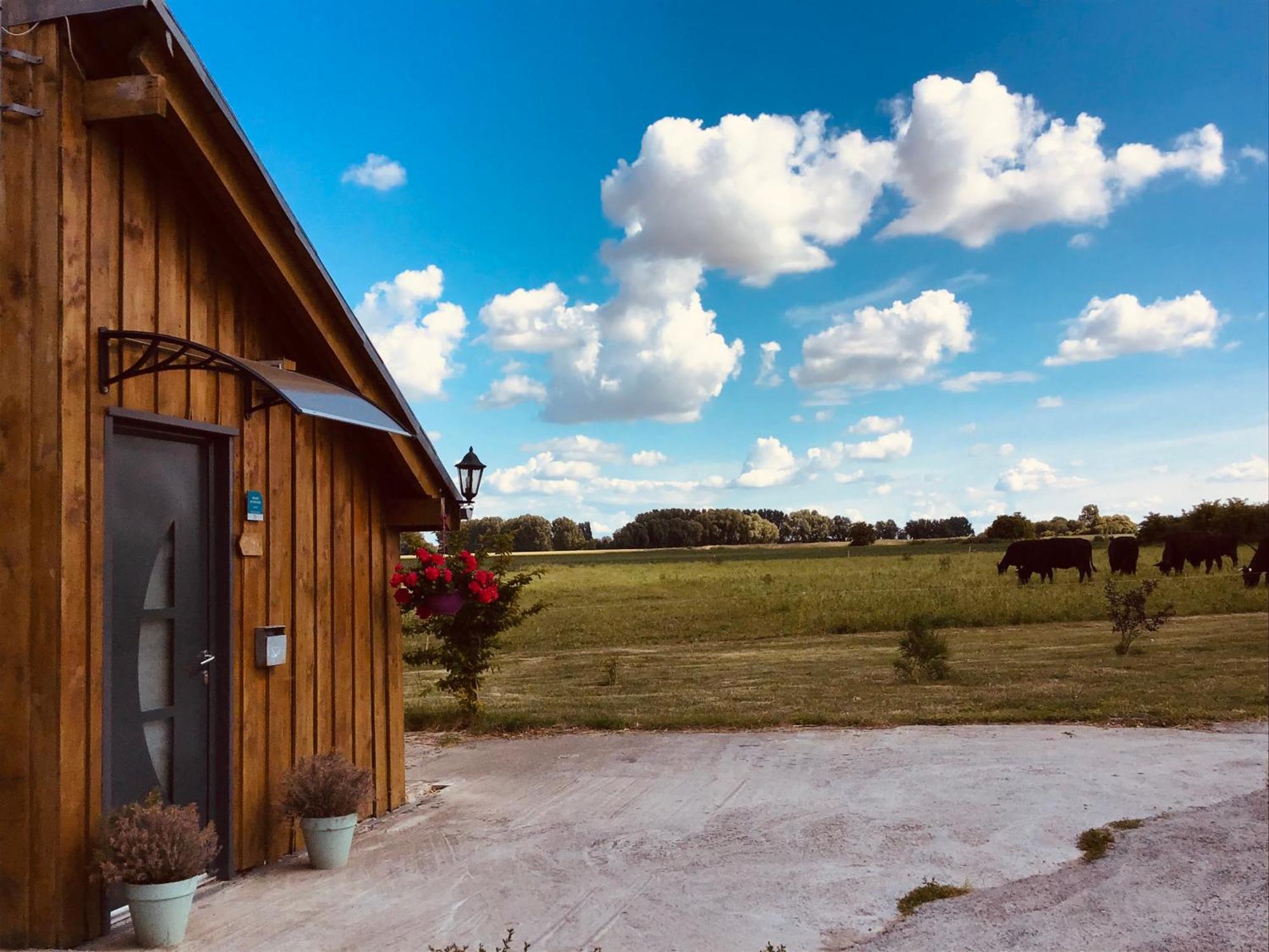 Le Chalet De La Ferme Du Tertre Villers-au-Tertre Rum bild